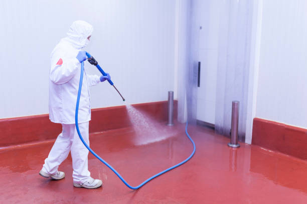 Best Factory Floor Cleaning  in Bonham, TX